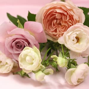 華道・生花・押し花の違い