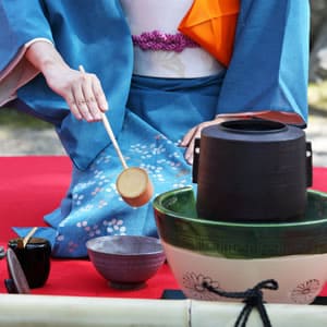 華道と茶道の共通点と異なる点